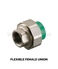 RIIFO FLEXIBLE FEMALE UNION PPR