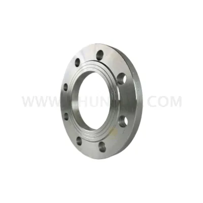 Slip On Flange EN109201 PN6