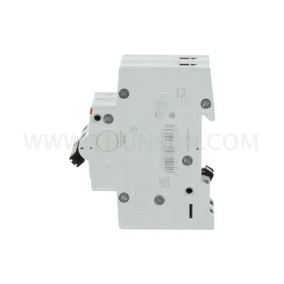 MCB SH202, S202 TypeC ABB
